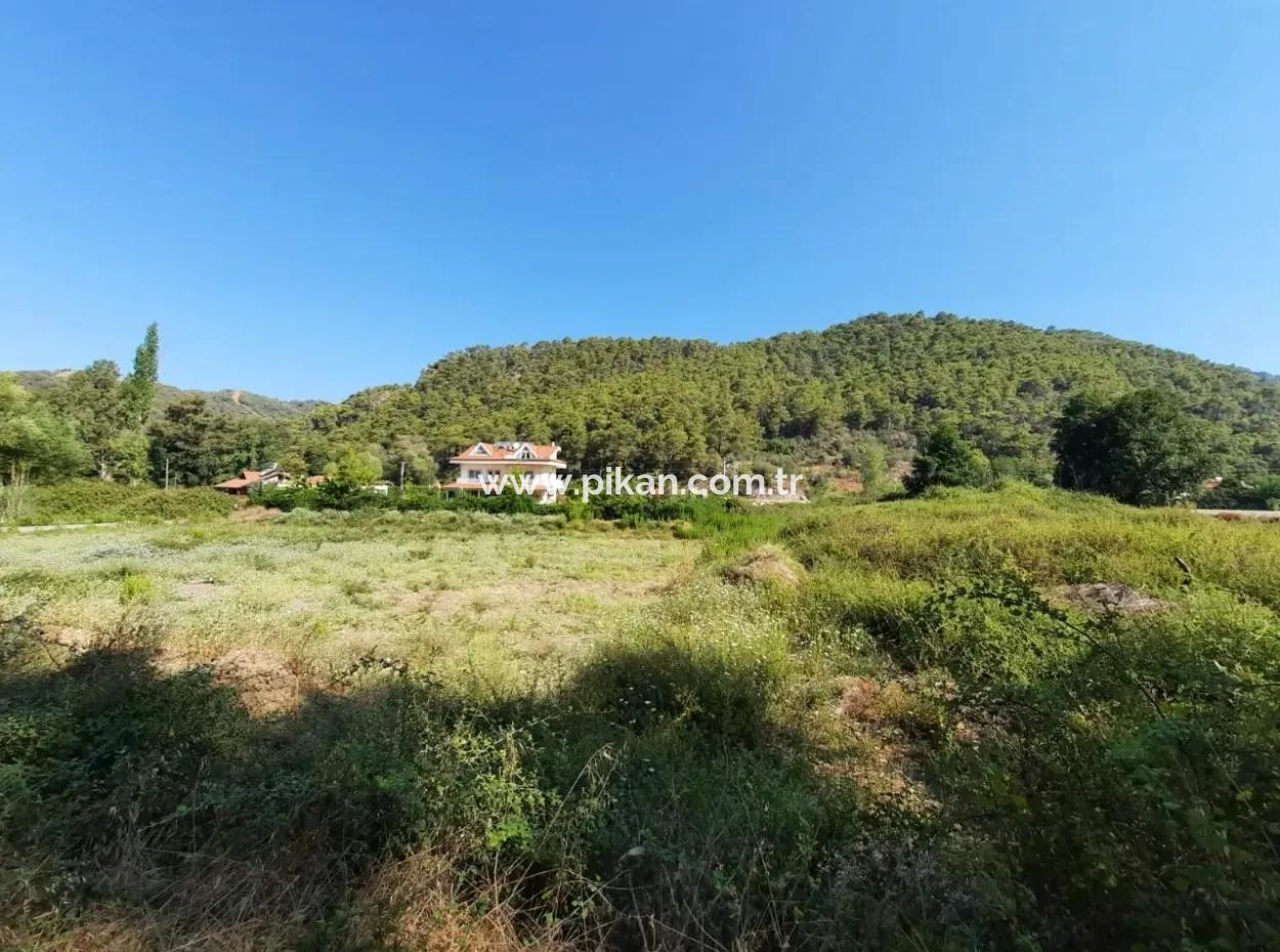 Vineyard Garden Zoning Land For Sale In Gocek Inlice