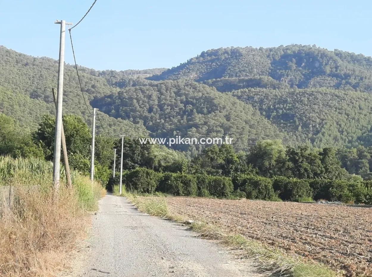 Ortaca Archers Also Bargain Land For Sale Urgently