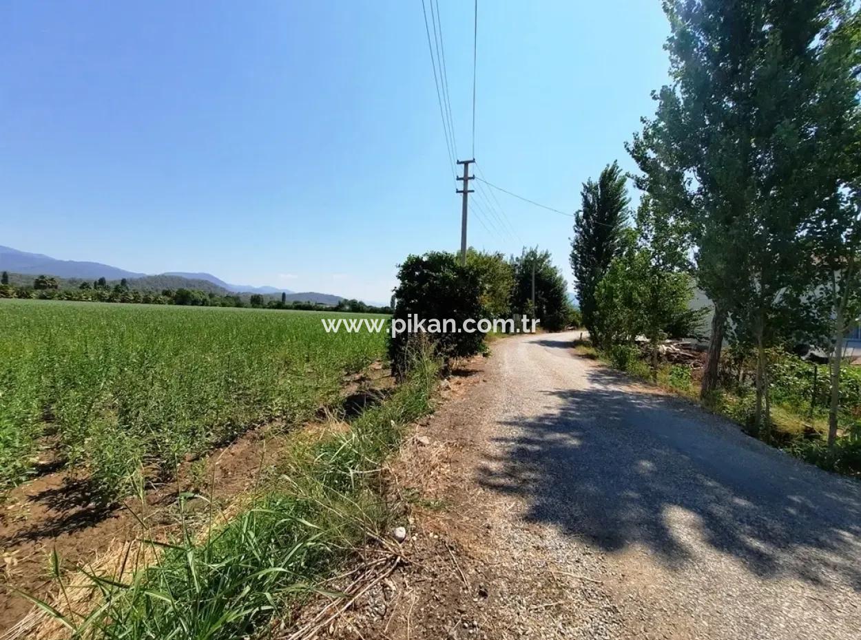 Efficient Field For Sale In Koycegiz