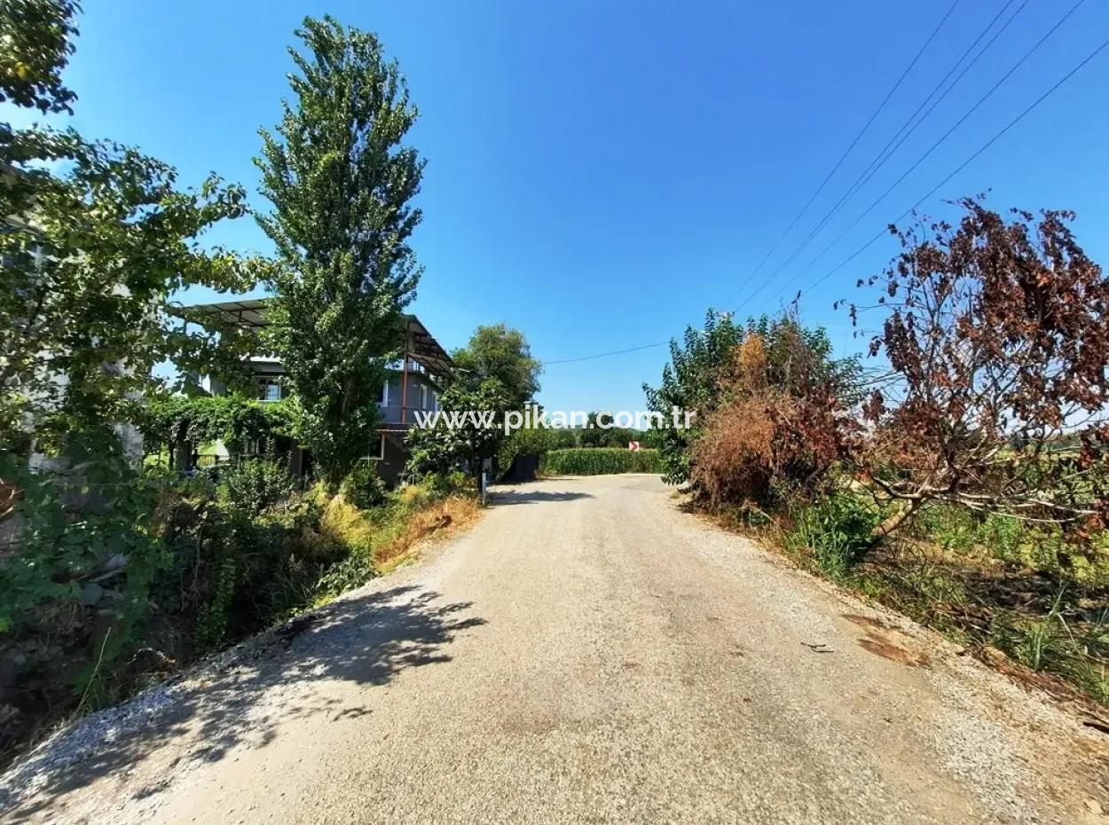 Efficient Field For Sale In Koycegiz