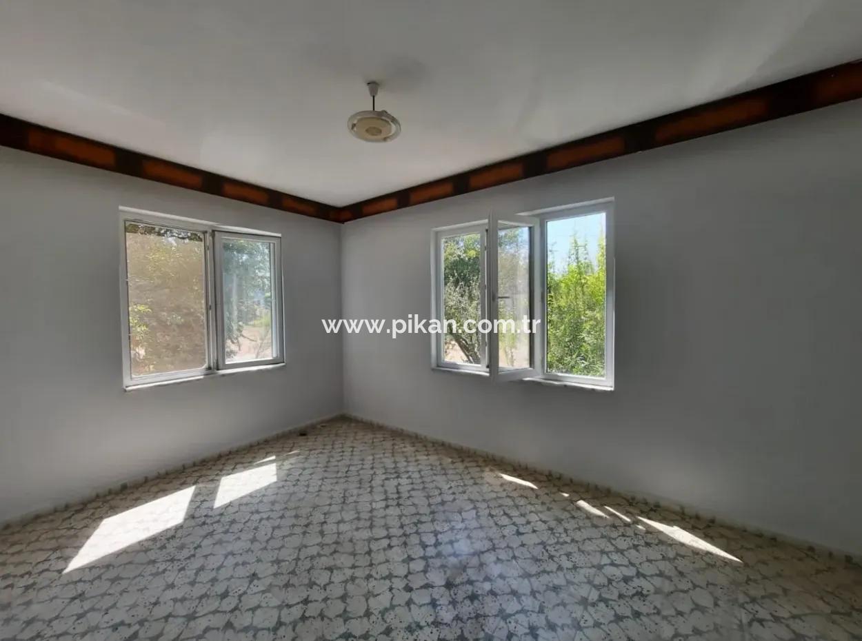 3 1 Apartments For Rent In Dalyanda