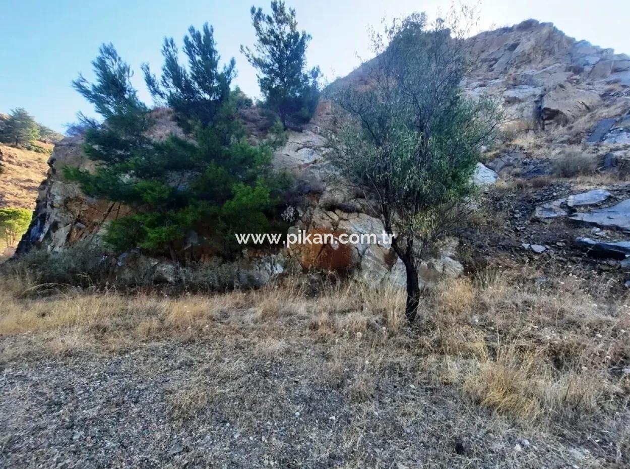Zero-Zoning Land For Sale On The Main Road In Ortaca