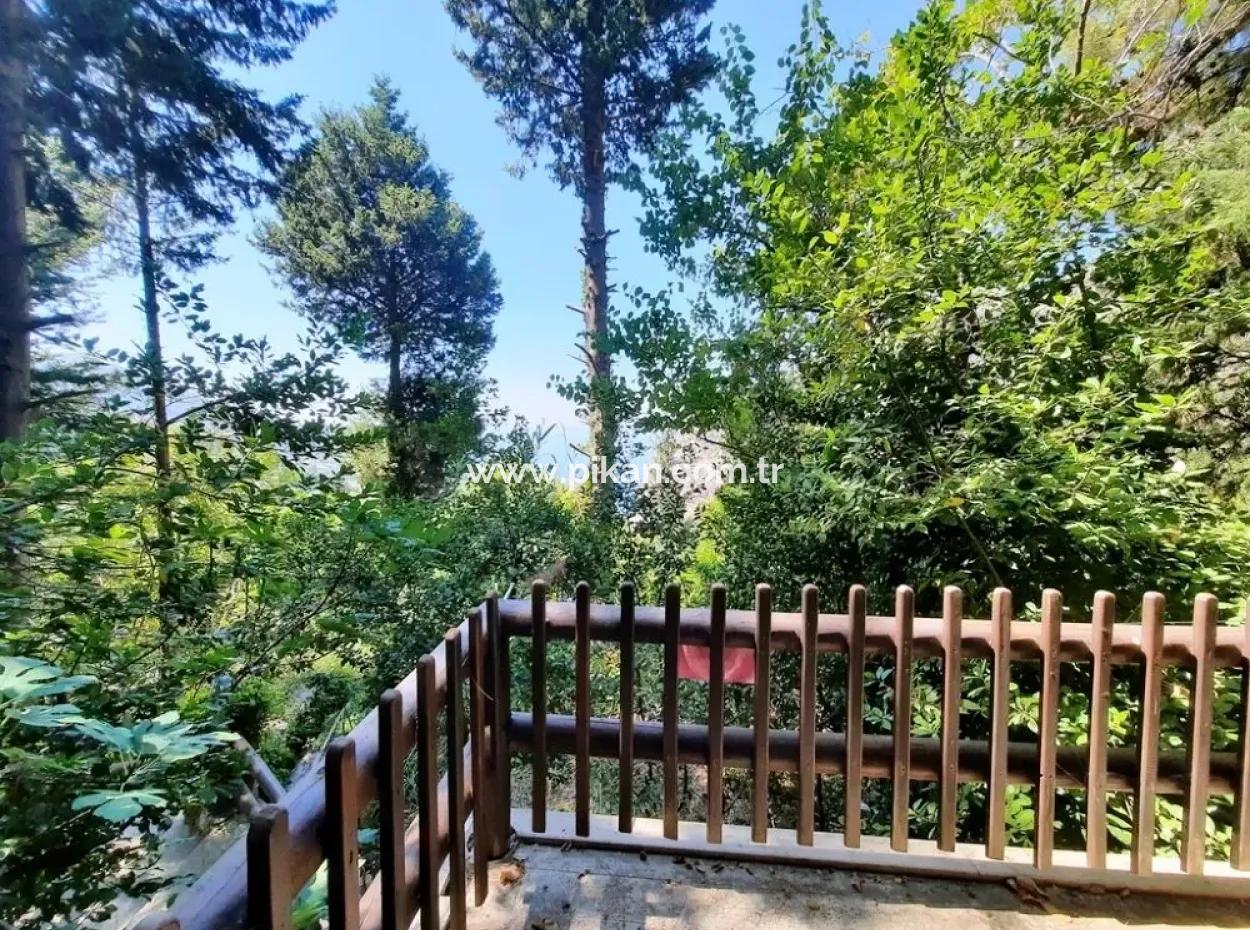 Fethiye Faralya Natural And Stone Boutique Hotel For Sale With Full Equipped And Certified