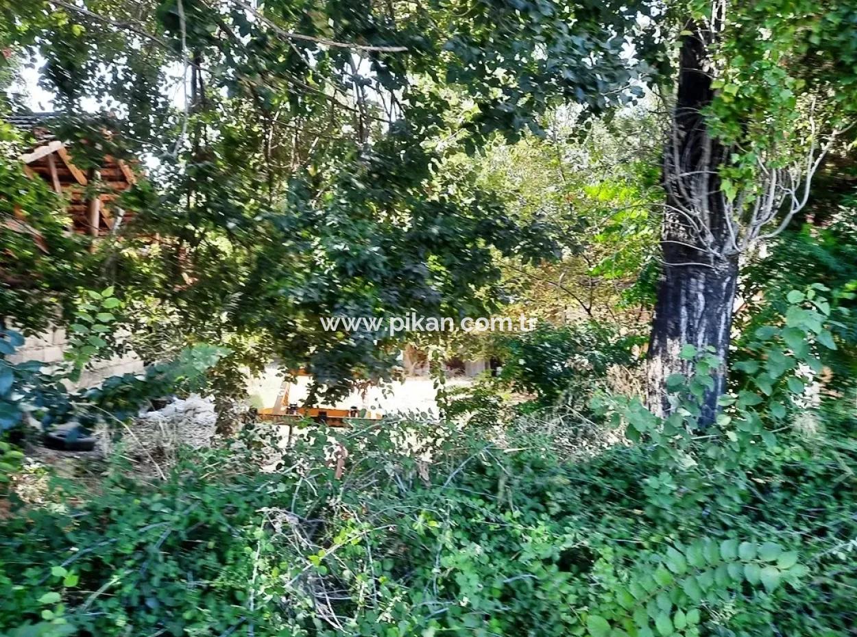 Zero Land For Sale On Ortaca Dyed