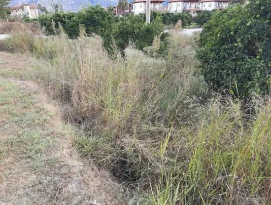 Mugla Dalyan Bargain Zoning Land For Sale