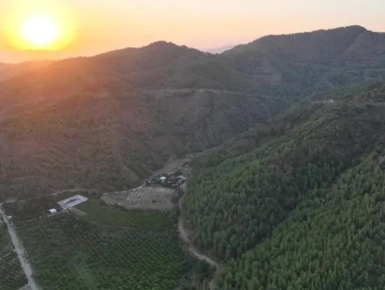 Detached 5.000 M² Lemon Garden With 150 M² Construction Rights In Ortaca Çaylı For Sale Or Exchange