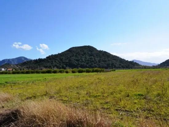 Farm For Sale Bargain In Dalyan