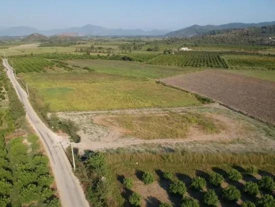 Ortaca Mergenlide 2 Parcels For Sale 13 000 M2 Field