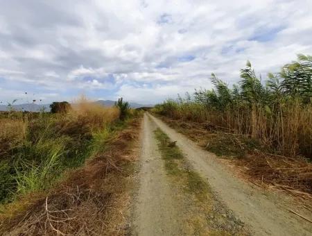 Fertile Land For Sale In Ortaca Eskiköy