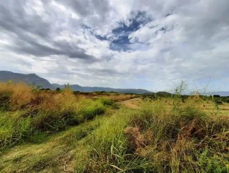 Fertile Land For Sale In Ortaca Eskiköy