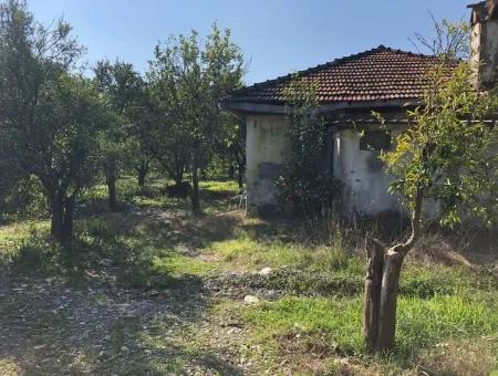 Land And Old Village House For Sale In Köyceeğiz Fire