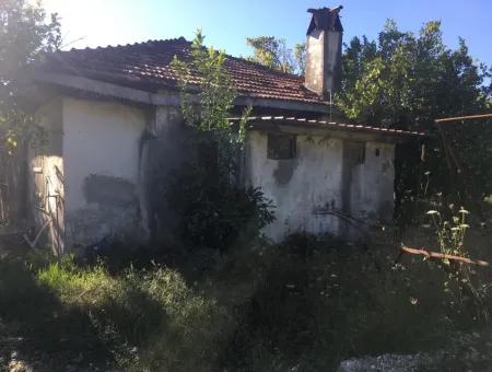 Land And Old Village House For Sale In Köyceeğiz Fire