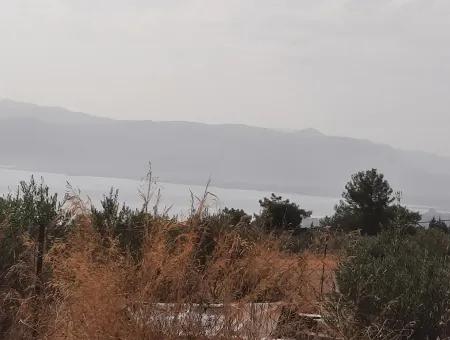 Detached Land With Lake Views For Sale In Köyceeğiz Zeytin Area