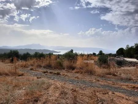 Detached Land With Lake Views For Sale In Köyceeğiz Zeytin Area