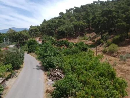 Land With Lake Views For Sale Between Ortaca Tepearasi