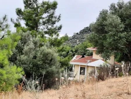 Plots With Sea View For Sale In Sarigerme Muğla