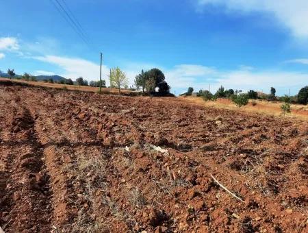 Denizli Çameli Cevizli 2 700 M2 Land And Village House For Sale