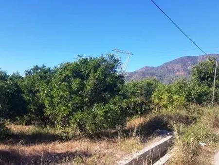 2 750 M2 Detached Land For Sale In Köycez Toparlar