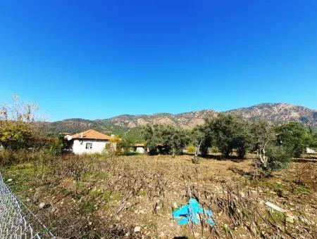 2,000 M2 Kelepir Detached Zoning Land For Sale In Köyceğinz Topars