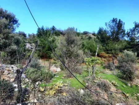 Mugla Dalyan Gokbel 1700 M2 Detached Land And Bungalow With Nature View