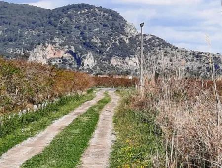 4830 M2 Land Near The Iztuzu Beach Road For Sale In Mugla Dalyan