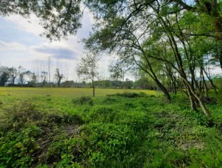 7668 M2 Bargain Land With Lake View For Sale In Köyceğiz Zeytinalani