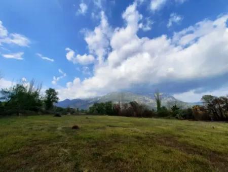 7668 M2 Bargain Land With Lake View For Sale In Köyceğiz Zeytinalani