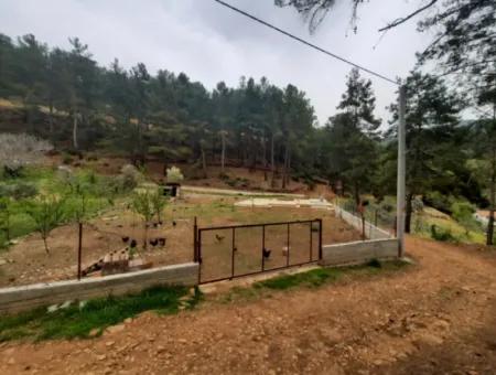 Köyceğinz Agla Yayla Opportunity 1050 M2 Zoning Land For Sale