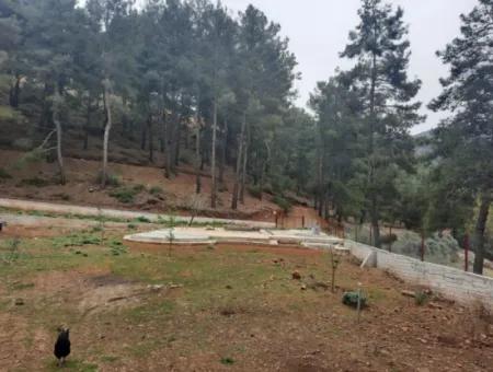 Köyceğinz Agla Yayla Opportunity 1050 M2 Zoning Land For Sale