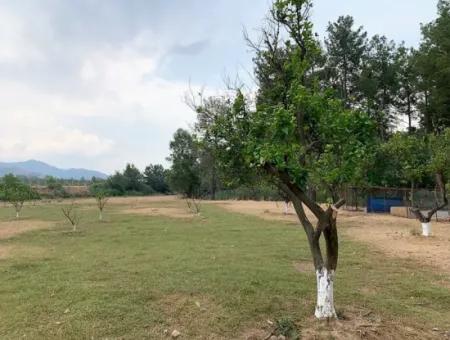 Tea Edge 10345 M2 Land And Detached House For Sale In Ortaca Çaylı Pine Forest