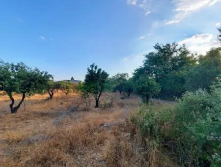 1080 M2 Zoning Land For Sale In Köyceğiz Toparlar