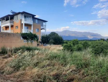 3500 M2 Orange And Tangerine Garden For Sale In Köyceğiz Toparlar