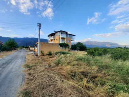 3500 M2 Orange And Tangerine Garden For Sale In Köyceğiz Toparlar