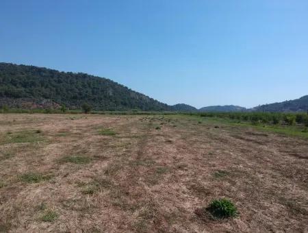 For Sale Land Guzelyurt Ta Oriya, Bargain 9726 M2