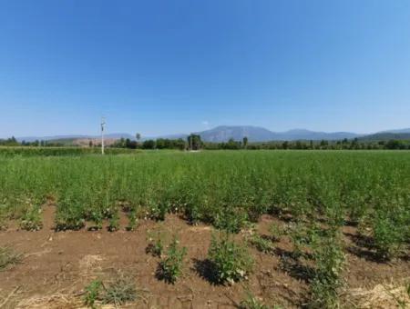 Mugla Ortaca Karaburun 500 M2 % 30/60 Zoning Detached Land For Sale