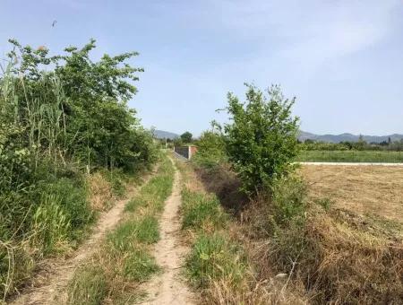 A Bargain Farm For Sale In Fevziye 2000 M2 And Oriya