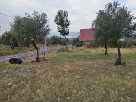 2788 M2 Field With Lake View For Sale In Mugla Köyceğiz Zeytinalanı