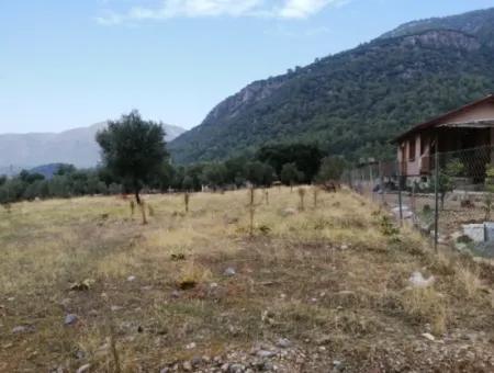 2788 M2 Field With Lake View For Sale In Mugla Köyceğiz Zeytinalanı