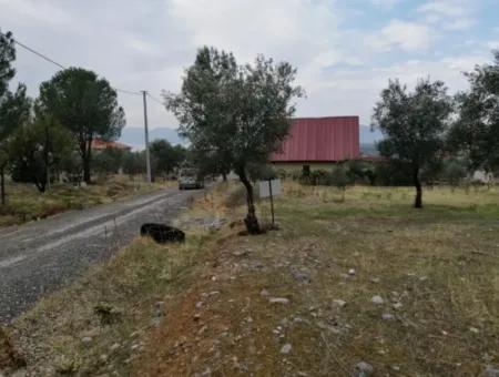 2788 M2 Field With Lake View For Sale In Mugla Köyceğiz Zeytinalanı