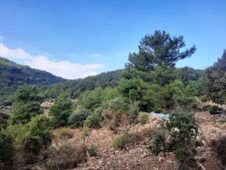 Mugla Dalyan Gökbel 320 M2 Bargain Land For Sale