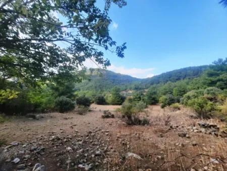 Mugla Dalyan Gökbel 320 M2 Bargain Land For Sale