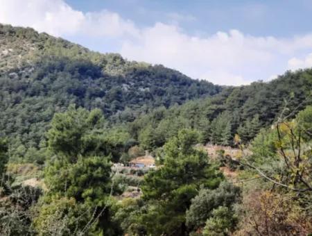 Mugla Dalyan Gökbel 320 M2 Bargain Land For Sale