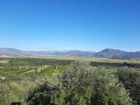 Olive Grove With Sea And Nature View In Ortaca Fevziye For Sale