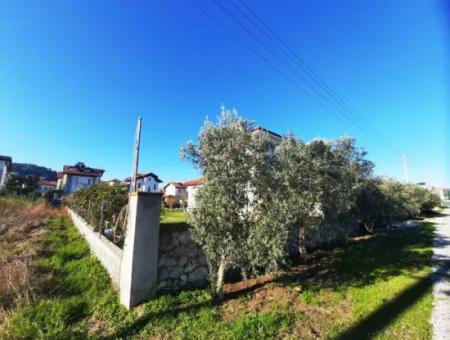 Mugla Dalyan 537 M2 Zoning Residential Land For Sale