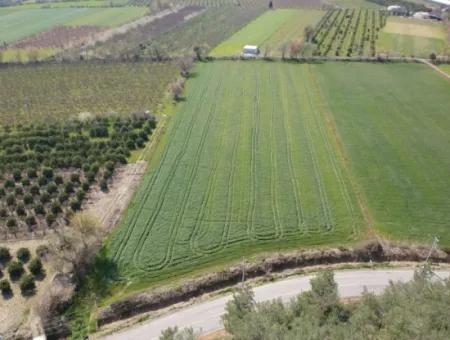 15220 M2 Field For Sale Between Ortaca Tepearasi