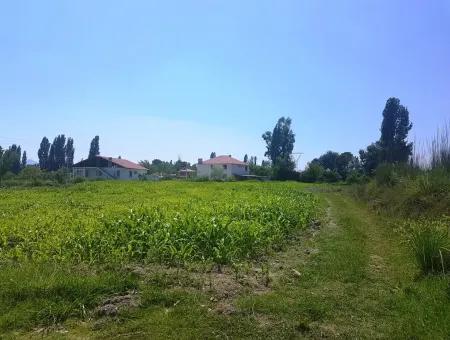 3700 M2 Land For Sale In Koycegiz