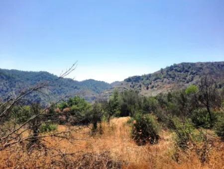 130.000 M2 Detached Land With Title Deed In Muğla Dalaman For Sale