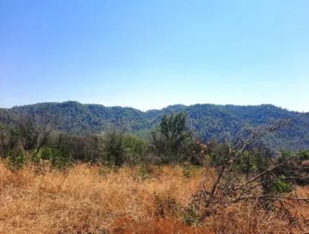 130.000 M2 Detached Land With Title Deed In Muğla Dalaman For Sale