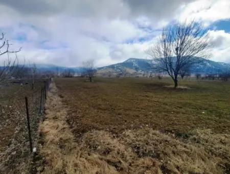 Denizli Çameli Belevi De 358 M2 Detached Deed Field Hobby Garden For Sale