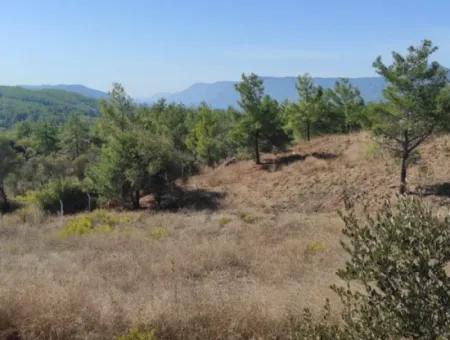 Ula Esentepede 4 200 M2 Sea View Land For Sale